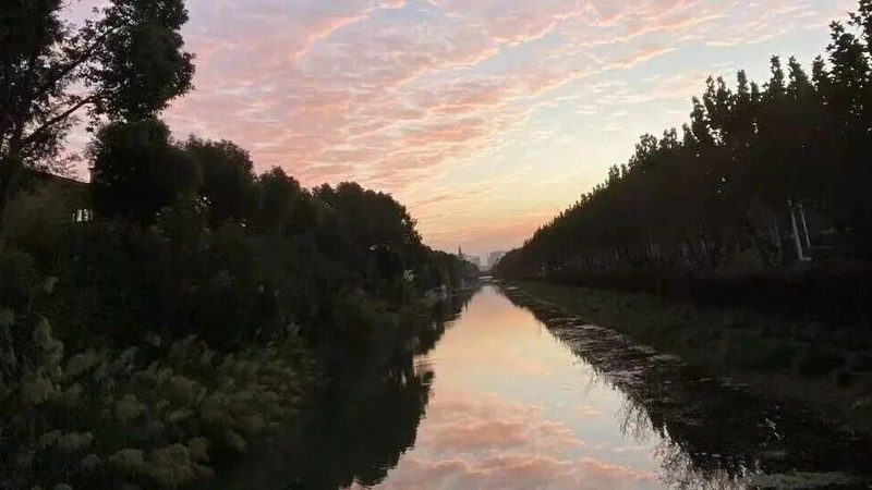 商标异议期错过还能补救吗