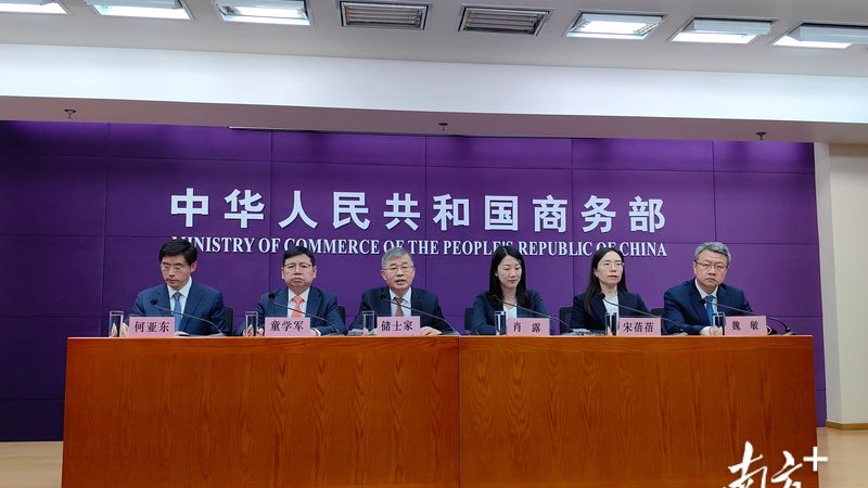 商标转让流程里，代理服务到底在做什么